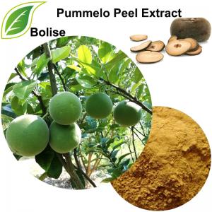 Pummelo Peel Extract(Exocarpium Citri Grandis Extract) Pummelo Peel Extract(Exocarpium Citri Grandis Extract)