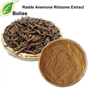 Radde Anemone Rhizome Extract Radde Anemone Rhizome Extract