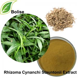 Willowleaf Swallowwort Rhizoma Extract(Rhizoma Cynanchi Stauntonii Extract) Willowleaf Swallowwort Rhizoma Extract(Rhizoma Cynanchi Stauntonii Extract)