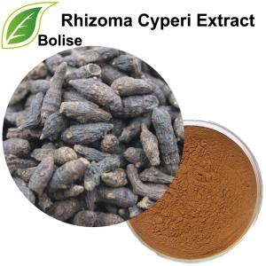 Nutgrass Galingale Rhizome Extract(Rhizoma Cyperi Extract) Nutgrass Galingale Rhizome Extract(Rhizoma Cyperi Extract)