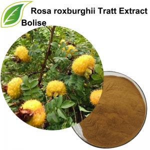 Rosa Roxburghii Tratt Extract(Roxburgh Rose Extract) Rosa Roxburghii Tratt Extract(Roxburgh Rose Extract)