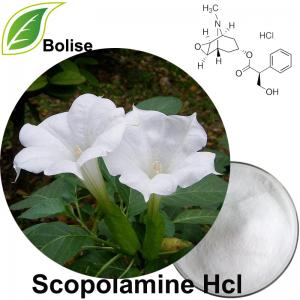 Scopolamine Hcl Scopolamine Hcl
