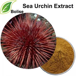 Sea Urchin Extract(Urchic Substance Bovine Extract) Sea Urchin Extract(Urchic Substance Bovine Extract)