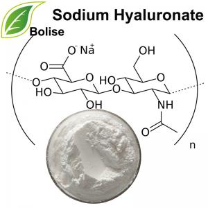 Sodium Hyaluronate Sodium Hyaluronate