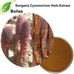Songaria Cynomorium Herb Extract(Herba Cynomorii Extract) Songaria Cynomorium Herb Extract(Herba Cynomorii Extract)
