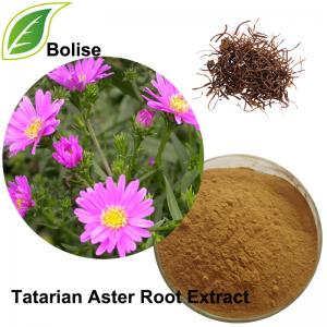 Tatarian Aster Root Extract(Radix Asteris Extract) Tatarian Aster Root Extract(Radix Asteris Extract)
