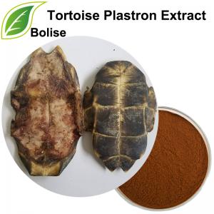 Tortoise Plastron Extract(Tortoise Shell Extract) Tortoise Plastron Extract(Tortoise Shell Extract)