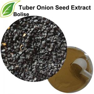 Tuber Onion Seed Extract(Leek Seed Extract) Tuber Onion Seed Extract(Leek Seed Extract)