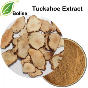 Tuckahoe Extract(Poria Cocos Extract) Tuckahoe Extract(Poria Cocos Extract)