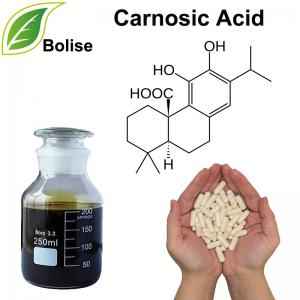 Carnosic Acid Carnosic Acid