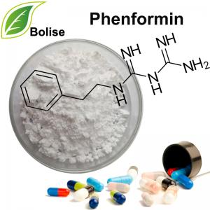 Phenformin Phenformin