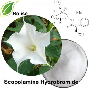 Scopolamine Hydrobromide Scopolamine Hydrobromide