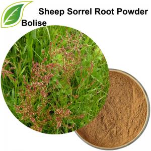 Sheep Sorrel Root Powder Sheep Sorrel Root Powder