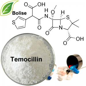 Temocillin Temocillin