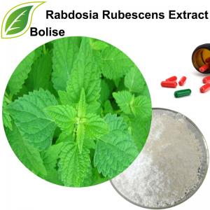 Rabdosia Rubescens Extract Rabdosia Rubescens Extract