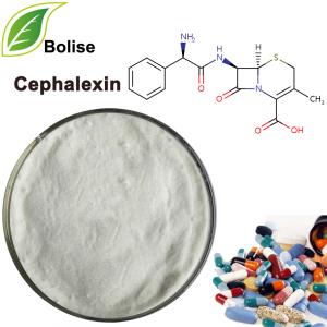 Cephalexin Cephalexin
