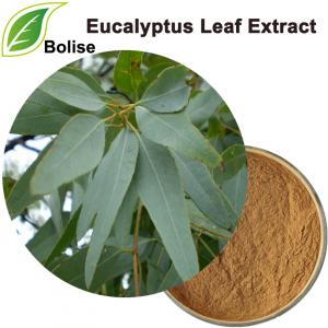 Eucalyptus Leaf Extract Eucalyptus Leaf Extract