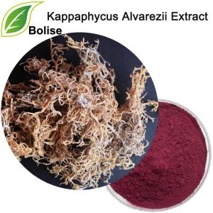 Kappaphycus Alvarezii Extract Kappaphycus Alvarezii Extract