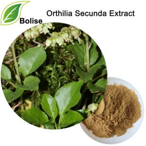 Orthilia Secunda Extract Orthilia Secunda Extract
