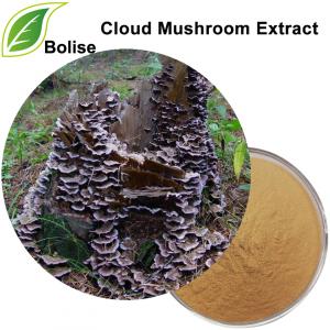Cloud Mushroom Extract Cloud Mushroom Extract
