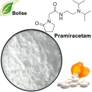 Pramiracetam Pramiracetam