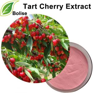 Tart Cherry Extract Tart Cherry Extract