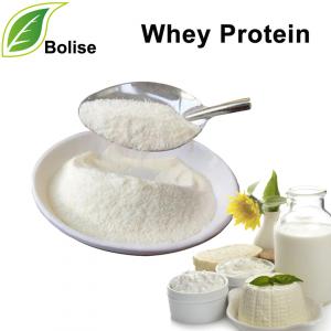 Whey Protein Whey Protein