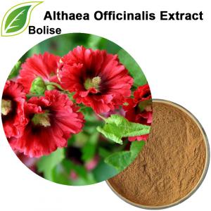 عصاره Althaea Officinalis عصاره Althaea Officinalis