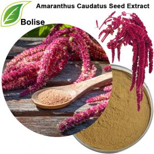 Ekstrak Biji Amaranthus Caudatus Ekstrak Biji Amaranthus Caudatus