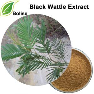 Black Wattle Extract(Acacia Mearnsii Extract) Black Wattle Extract(Acacia Mearnsii Extract)