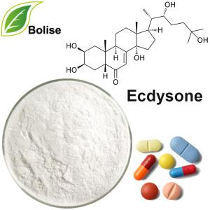 Ecdysone Ecdysone