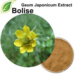 Geum Japonicum Extract(Asian Herb Bennet Extract) Geum Japonicum Extract(Asian Herb Bennet Extract)