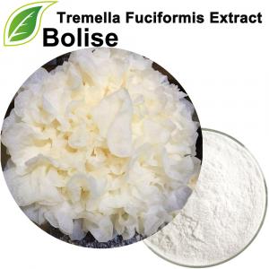 Екстракт од Tremella Fuciformis (Екстракт од Tremella) Екстракт од Tremella Fuciformis (Екстракт од Tremella)