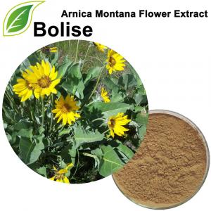 Estratto di Arnica Montana (Estratto di fiori di Arnica Montana) Estratto di Arnica Montana (Estratto di fiori di Arnica Montana)