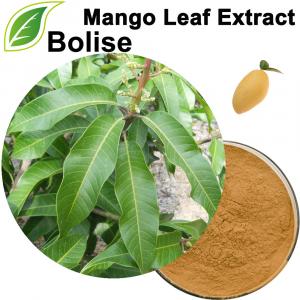 Ekstrak Daun Mangga (Ekstrak Daun Mangga) Ekstrak Daun Mangga (Ekstrak Daun Mangga)