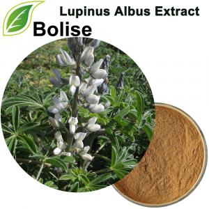 Ekstrakt Lupinus Albus Ekstrakt Lupinus Albus