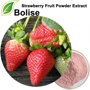 Estratto di polvere di frutta alla fragola Estratto di polvere di frutta alla fragola