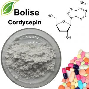 Kordisepiini Kordisepiini