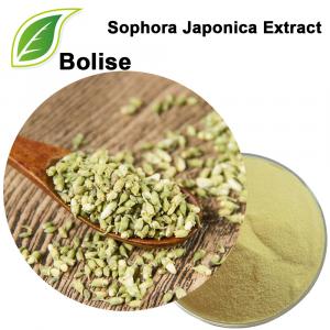 Extracto de Sophora Japonica