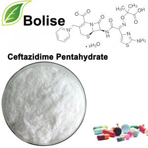 Ceftazidim pentahidrat Ceftazidim pentahidrat