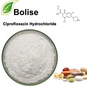 Clorhidrato de ciprofloxacino Clorhidrato de ciprofloxacino