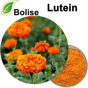Lutein Lutein