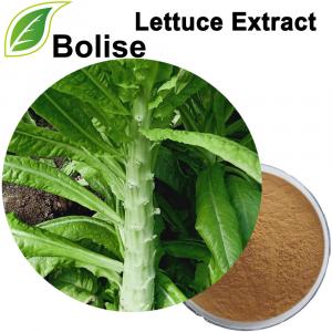 Lettuce Extract