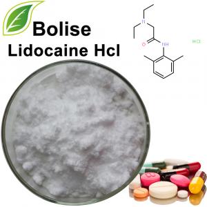 Lidocaína Hcl