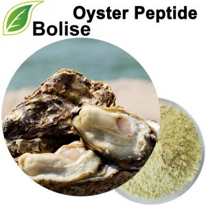 Oyster Peptide Powder Oyster Peptide Powder