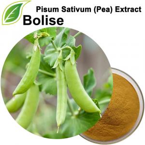 Pisum Sativum (Pea) Extract Pisum Sativum (Pea) Extract