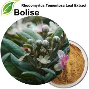 Rhodomyrtus Tomentosa Leaf Extract