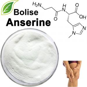 Anserine Anserine