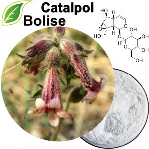 Catalpol (Catalpinoside) Catalpol (Catalpinoside)