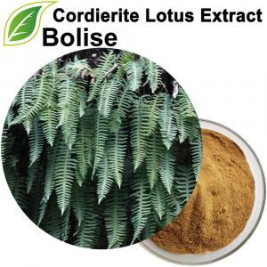 Cordierite Lotus Extract